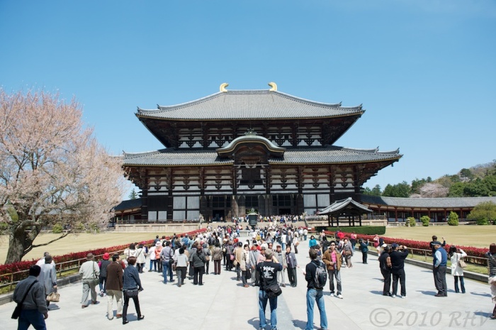 Todai-ji, largest wooden building in the world. 